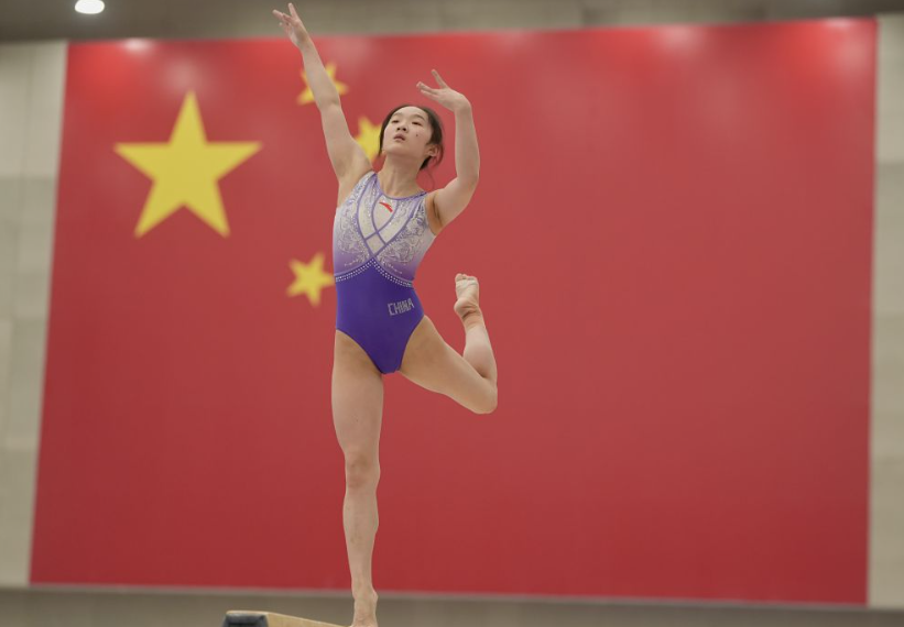 体彩bsports的魅力与未来发展趋势